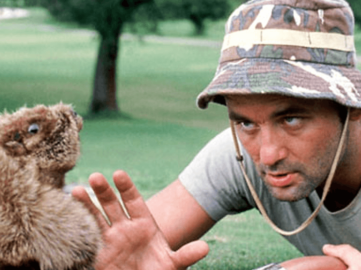 caddyshack-gopher-2-2.png