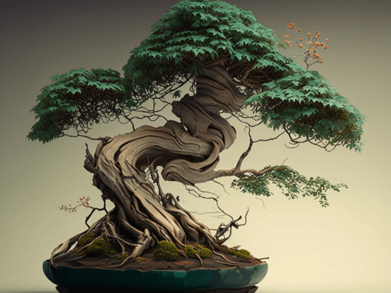 harperh_bonsai_tree_26788681-5d5b-4507-b467-21a322768ab1.png