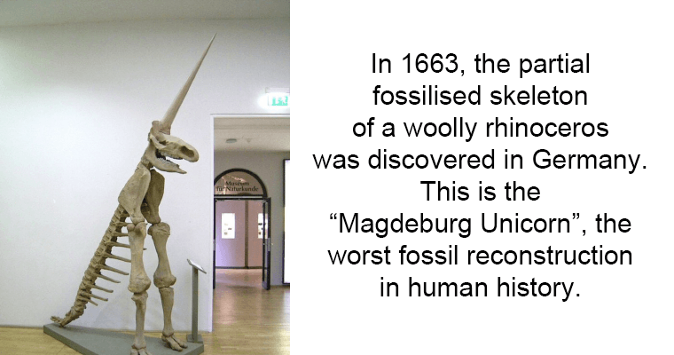 magdeburg-unicorn.png