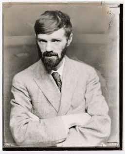 epsilon-theory-narrative-machine-august-17-2016-dh-lawrence.png