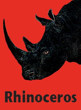 rhino-show-page.jpg