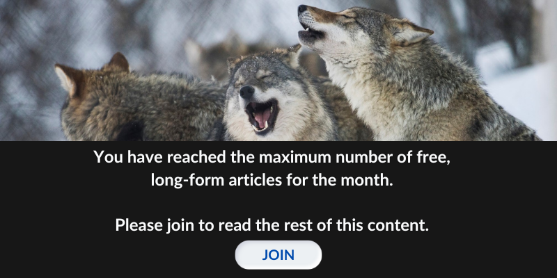 Join the Pack: You have reached the maximum number of free, long-form articles for the month. Please click to join. 