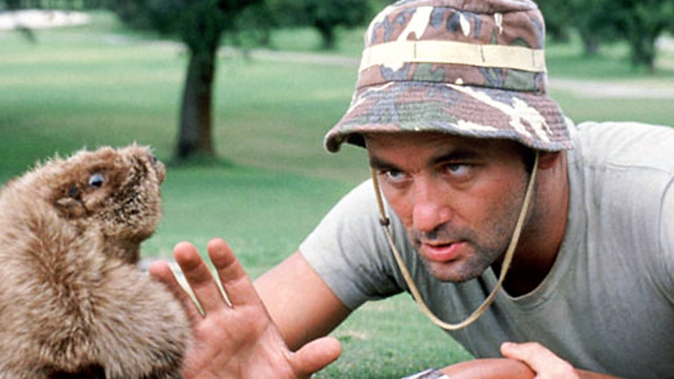Image result for caddyshack kill all the golfers